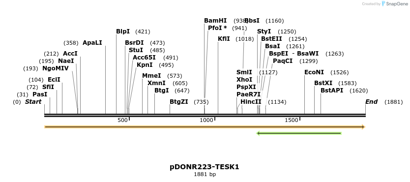 11079_map