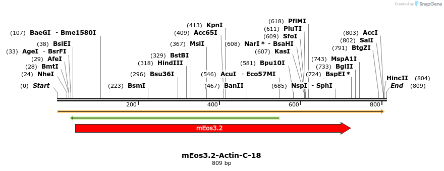 110791_map