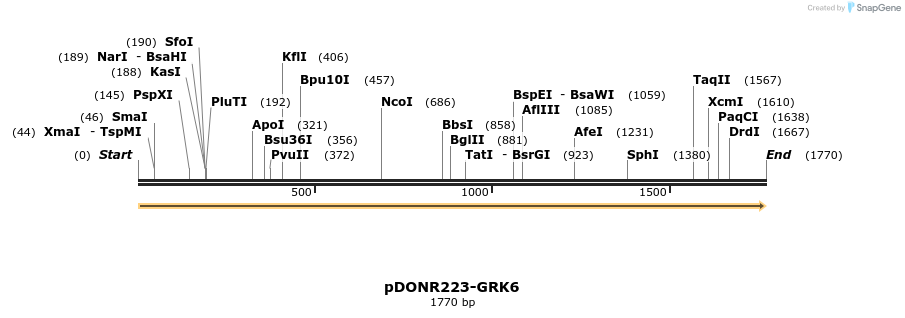 11080_map