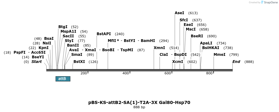 110804_map