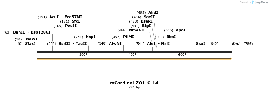 110805_map