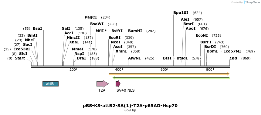 110806_map