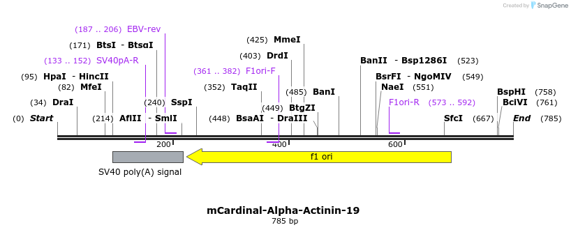 110813_map