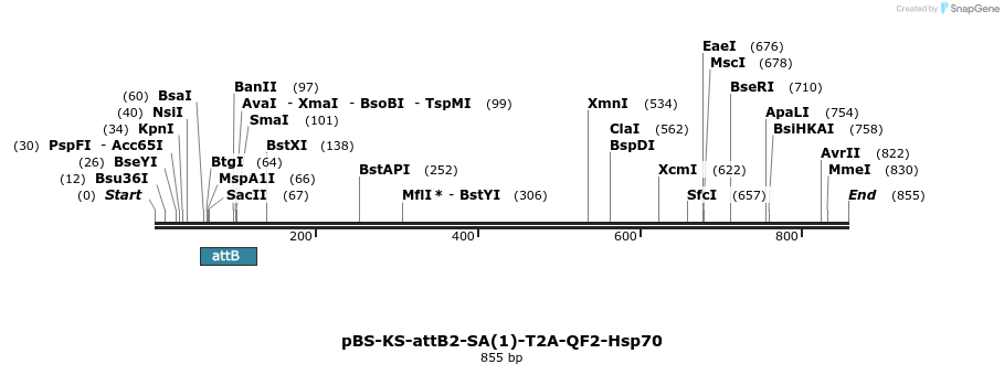 110815_map