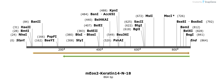 110816_map
