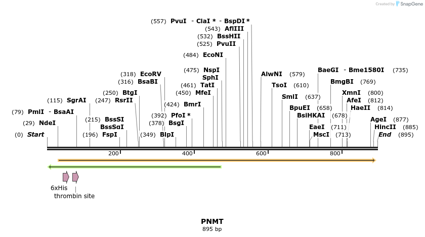 110817_map
