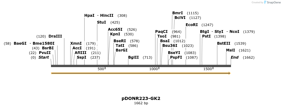 11082_map
