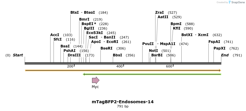 110821_map