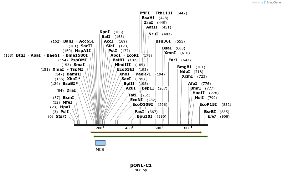 110823_map
