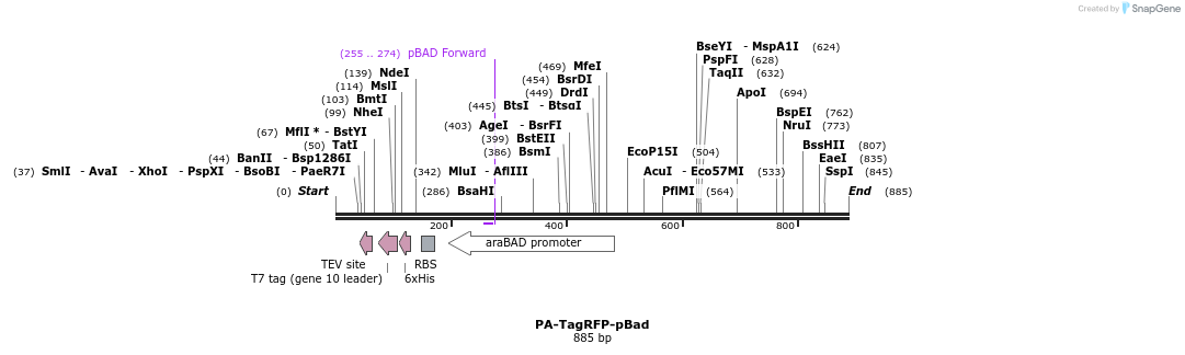110824_map