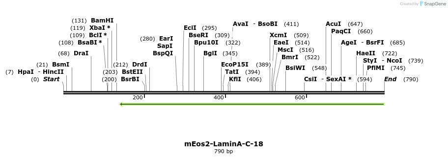 110831_map