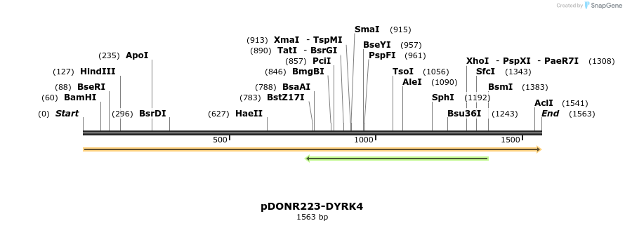 11084_map