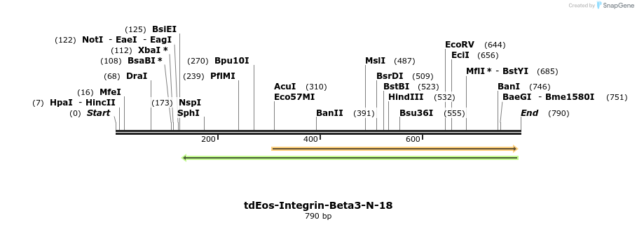 110840_map