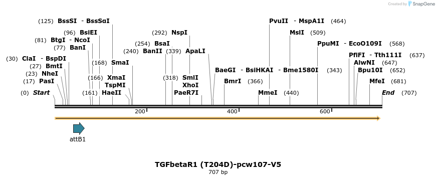 110844_map