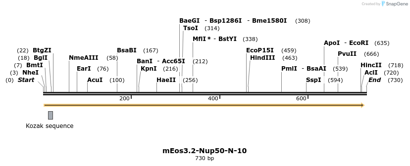 110845_map
