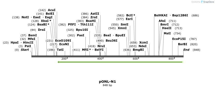110846_map