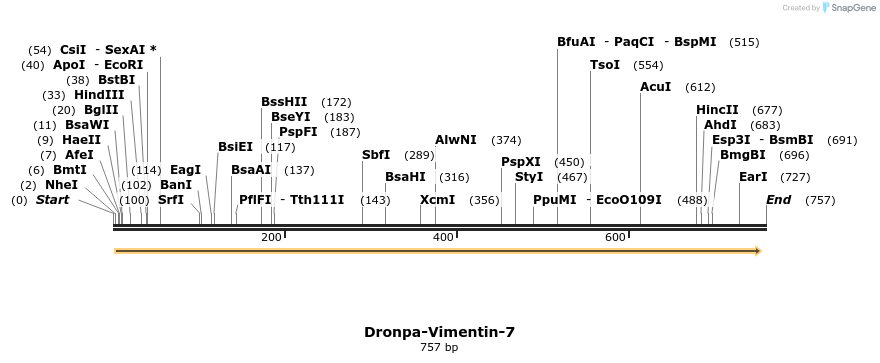 110849_map