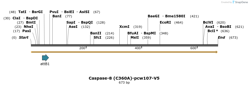 110853_map