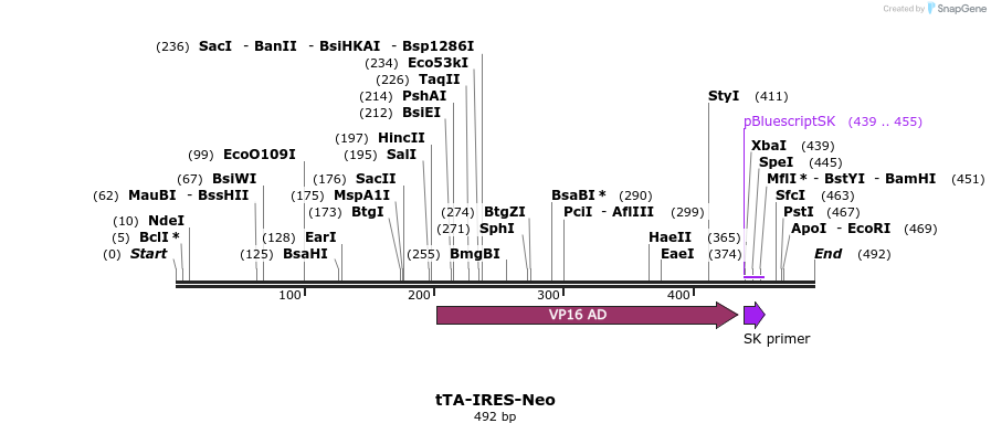 110855_map