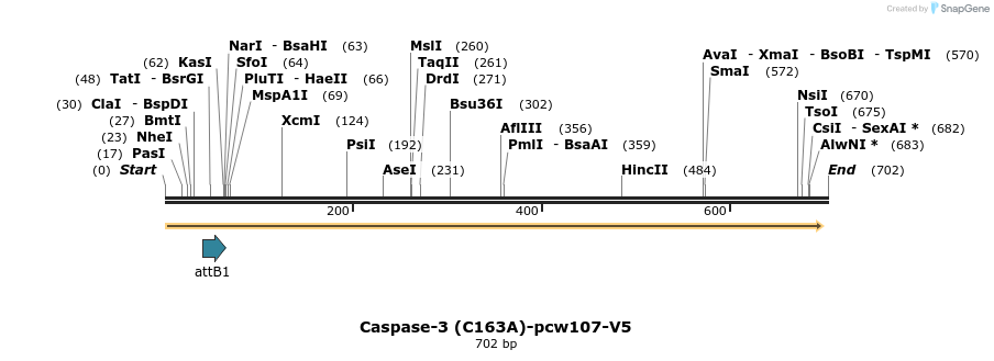 110856_map