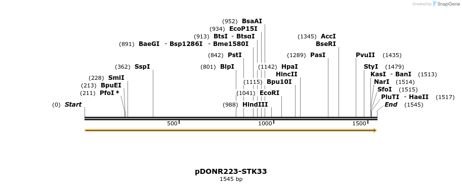 11086_map