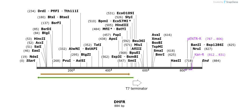 110869_map