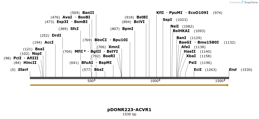 11087_map