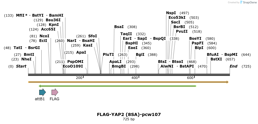 110870_map