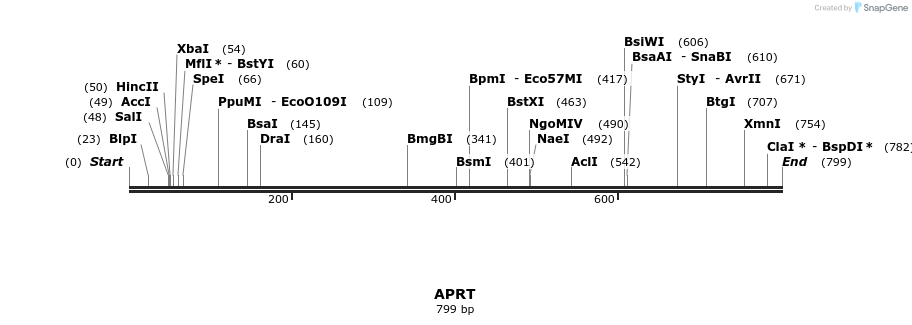 110871_map