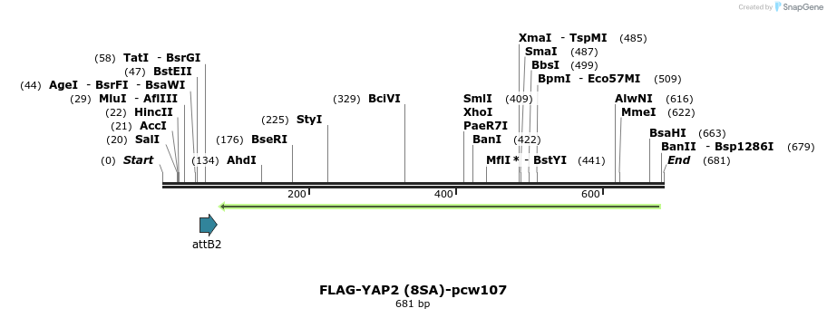 110872_map