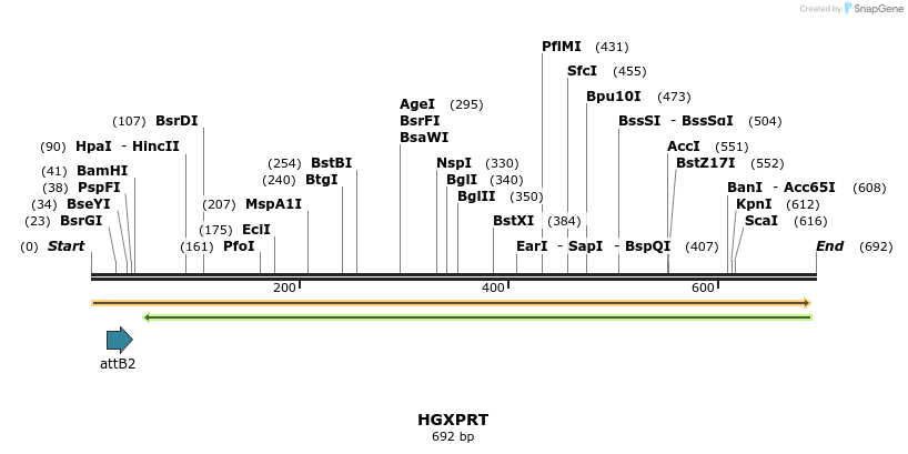 110873_map
