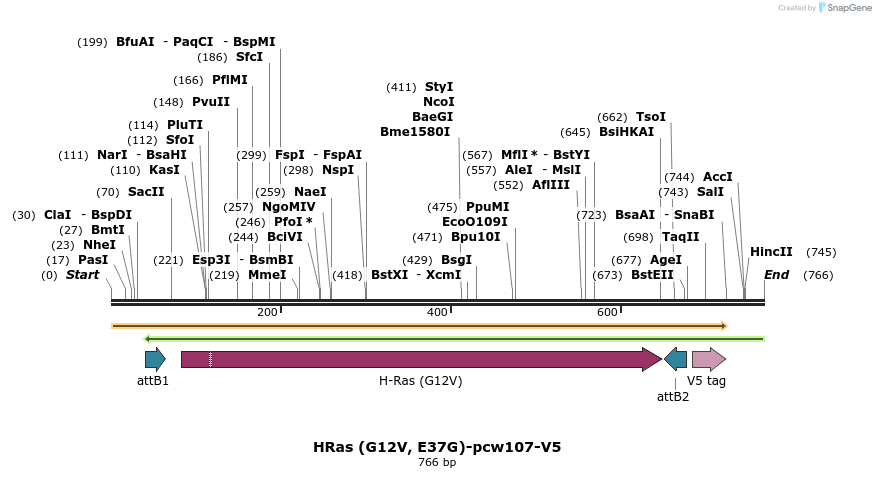 110877_map