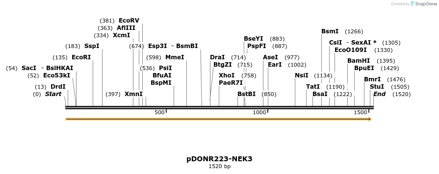 11088_map