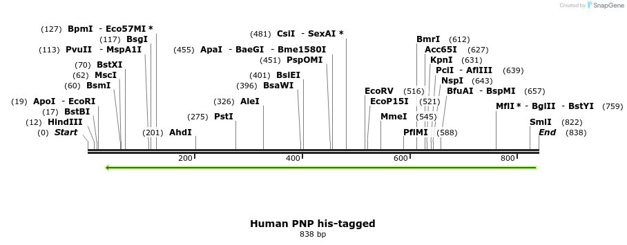 110881_map