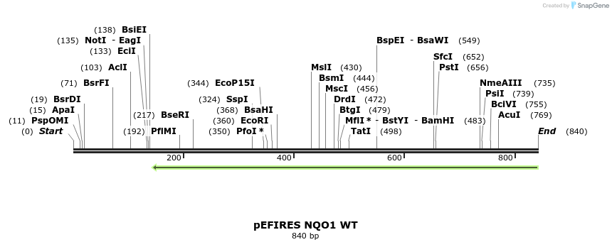 110883_map