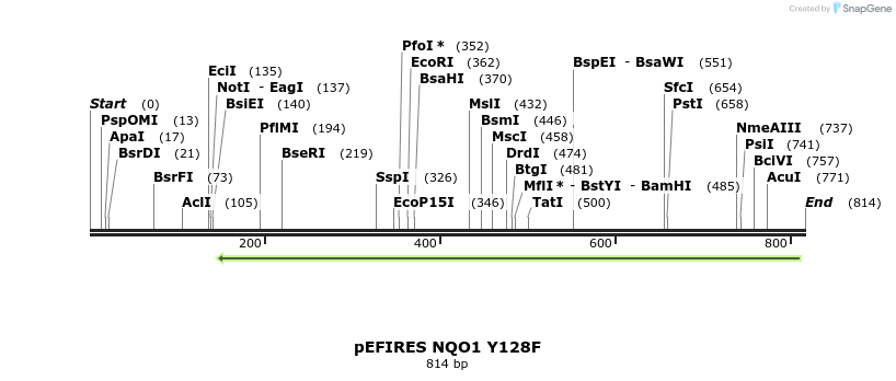 110885_map