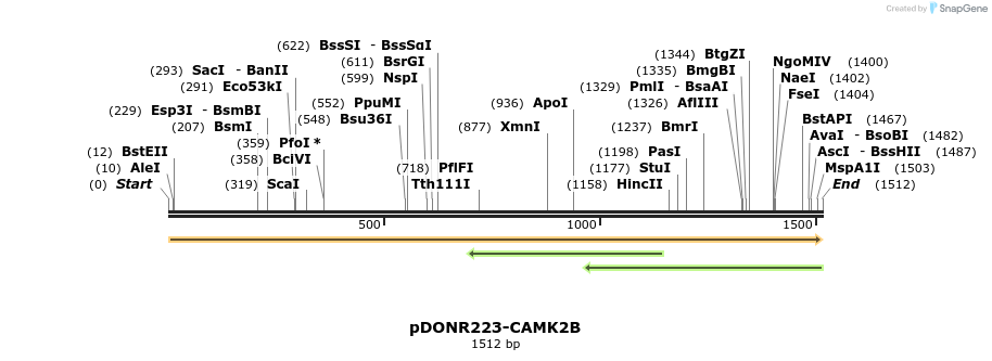 11089_map