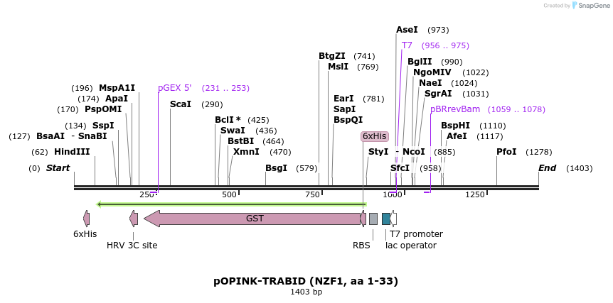 110890_map
