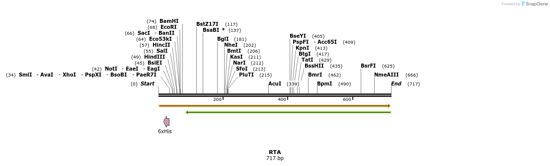 110894_map