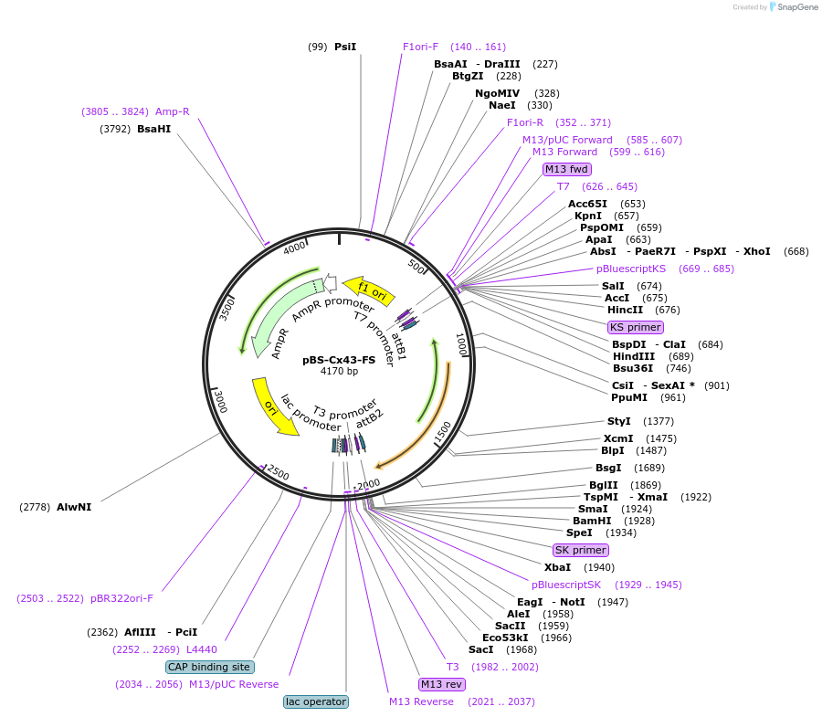 110896_map