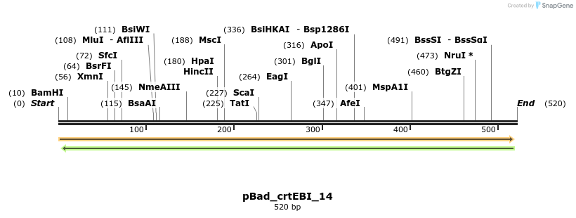 110908_map