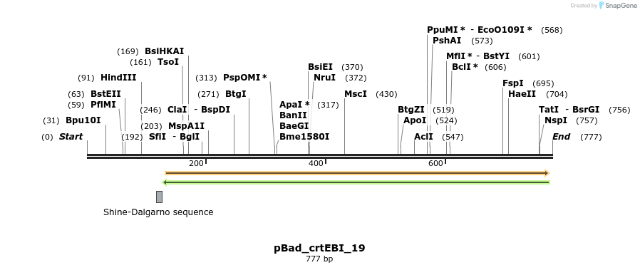 110911_map