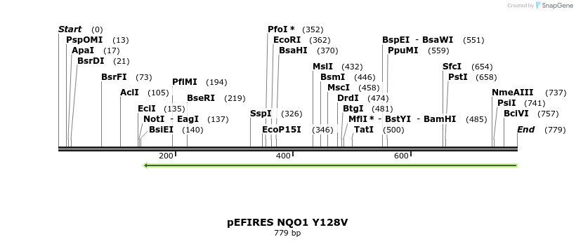 110913_map