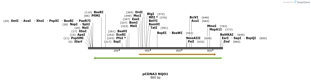 110917_map