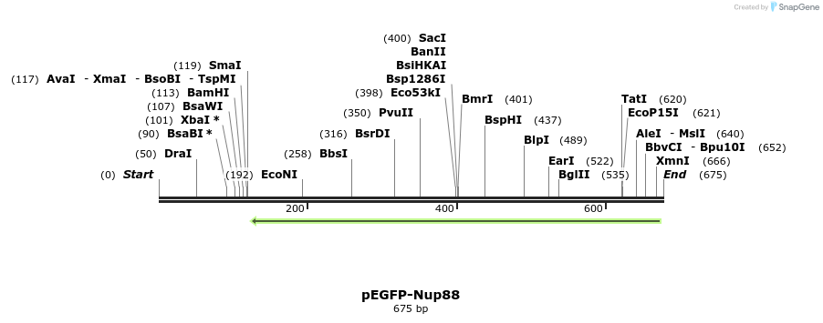 110919_map