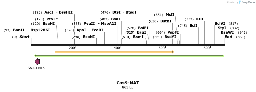 110920_map