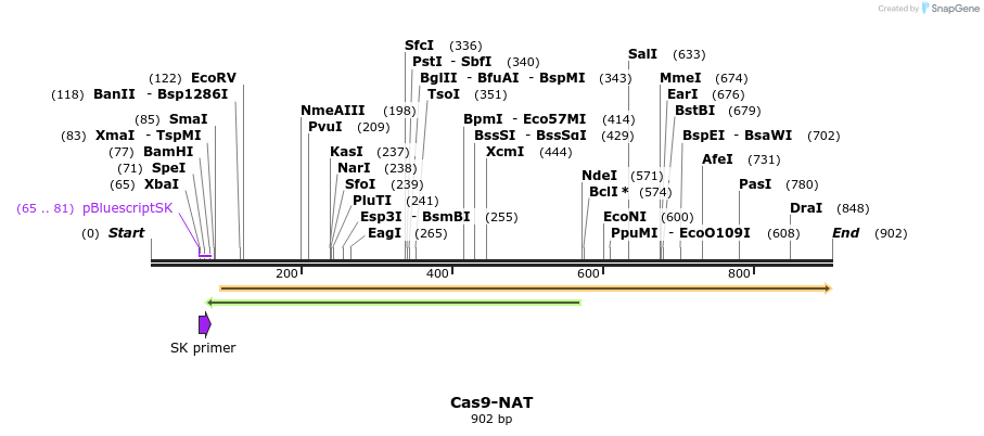110923_map