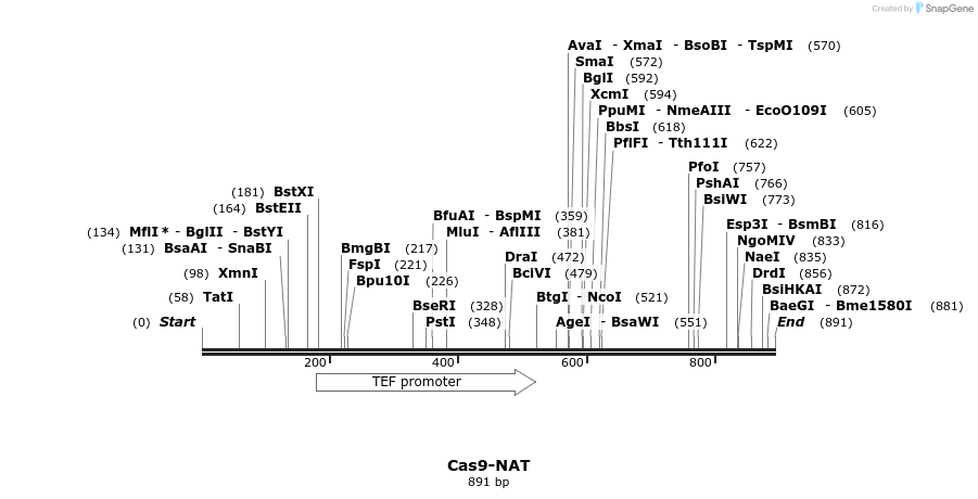 110927_map