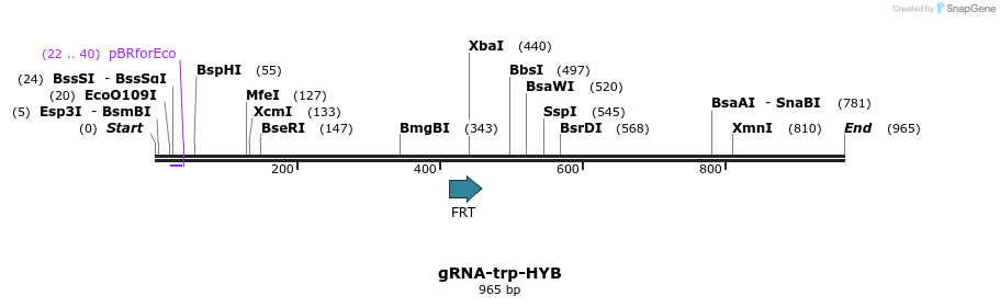 110931_map