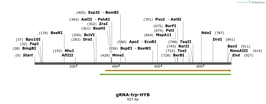 110938_map